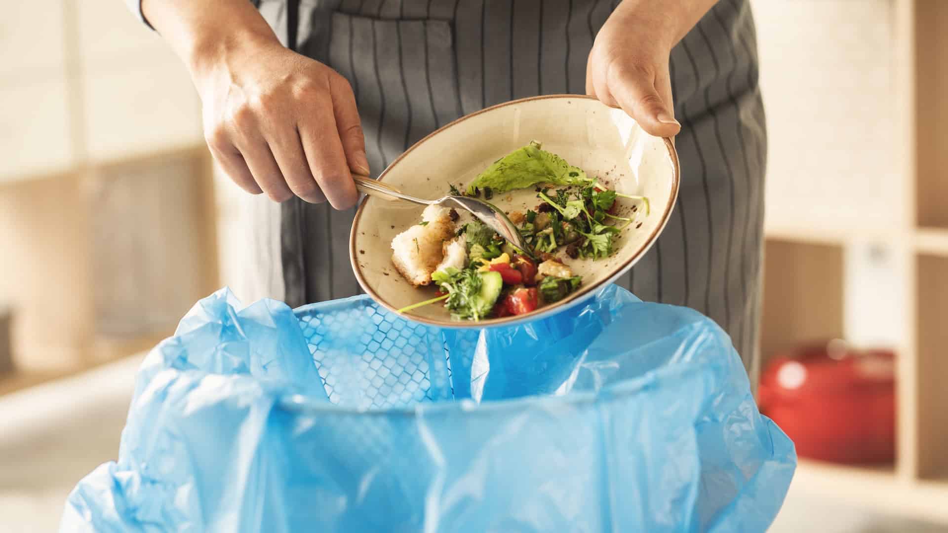 Restaurant plate scrapings being separated as commercial food waste under new UK regulations